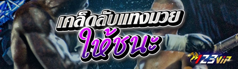 เคล็ดลับแทงมวยให้ชนะ 